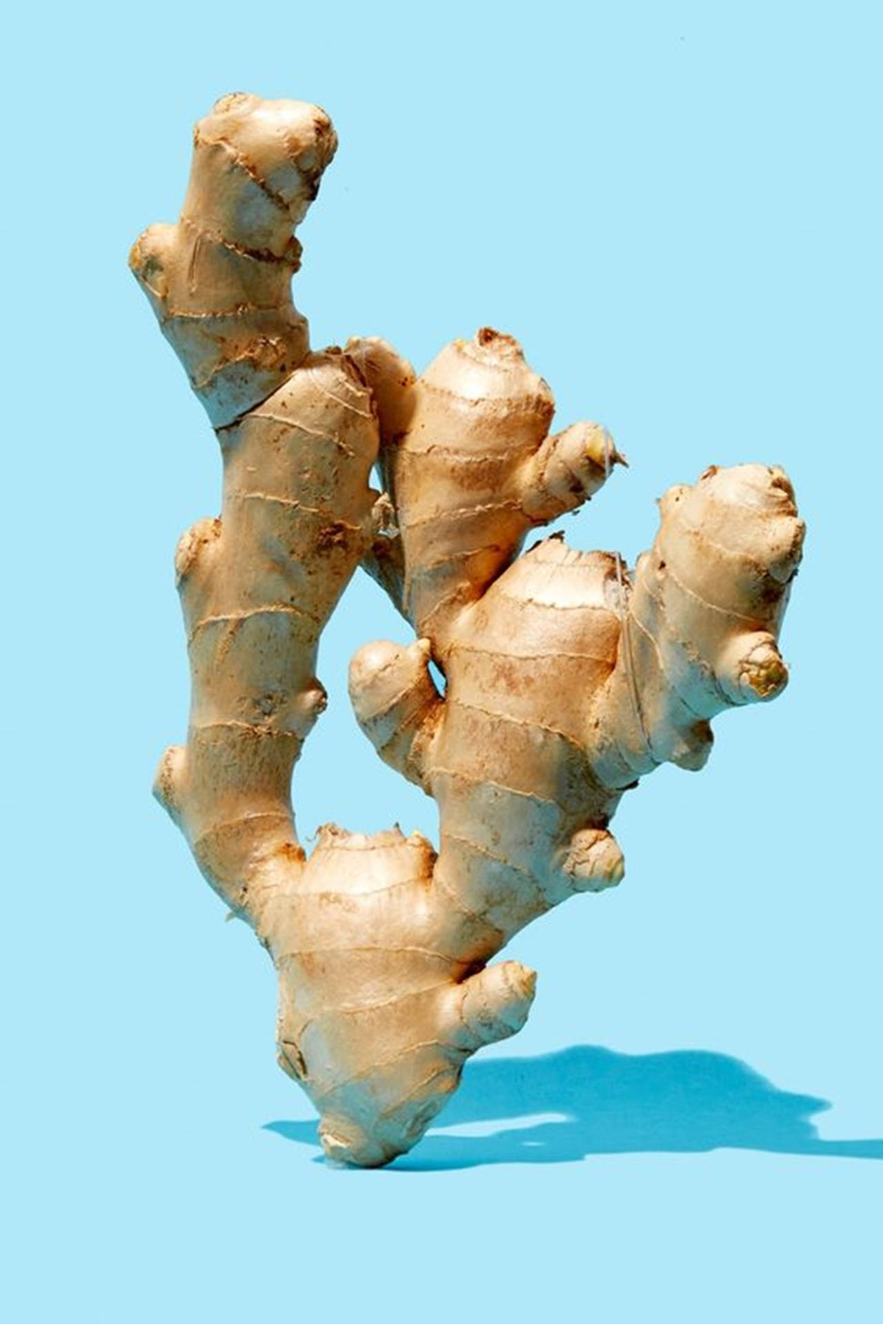 Unique Ginger Rhizome Vegetable Portrait Wallpaper