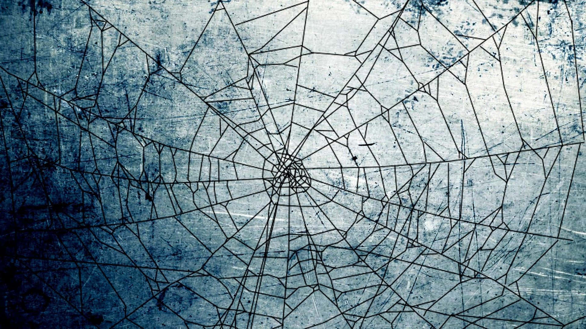 Unique Landscape Spider Web Background