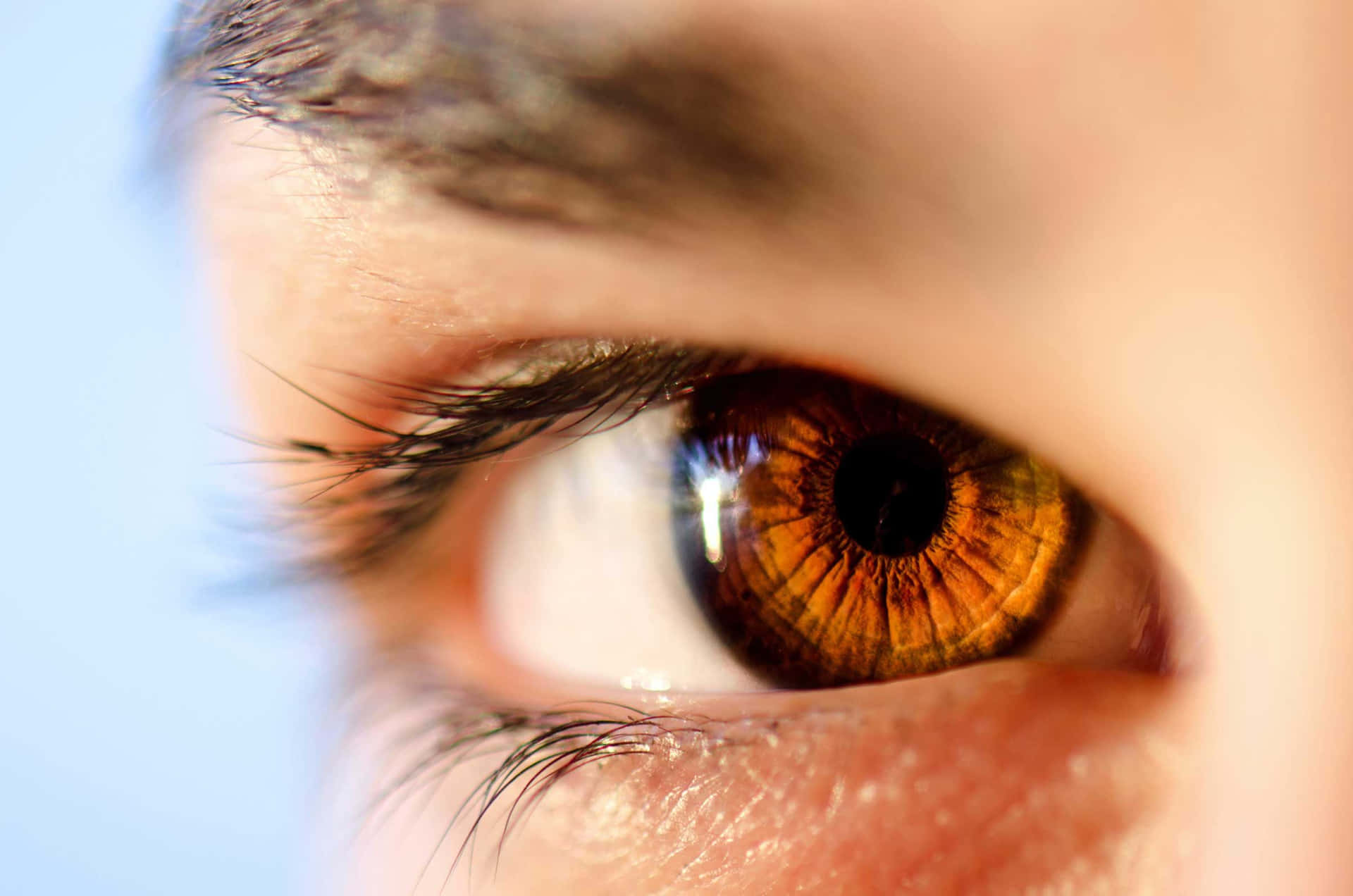 A Close Up Of A Woman's Eye