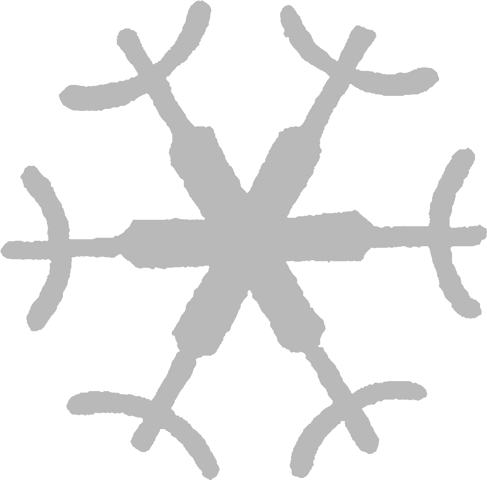 Unique Snowflake Pattern PNG