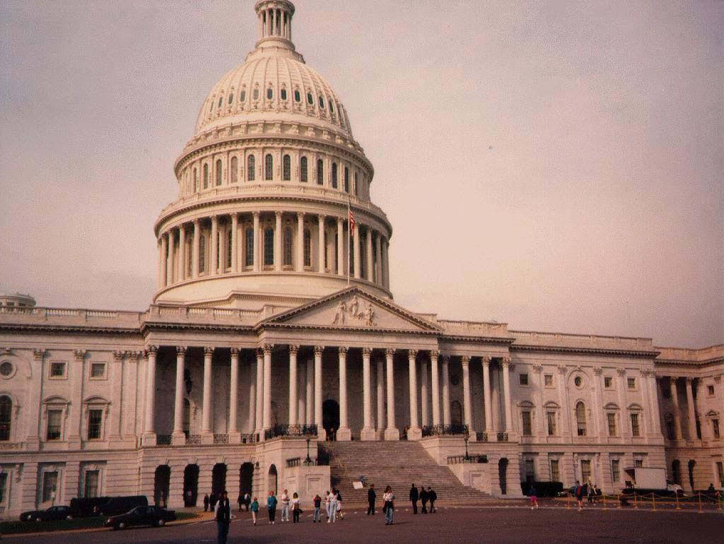 Vereinigte Staaten Kapitol, Dusky Pink Wallpaper