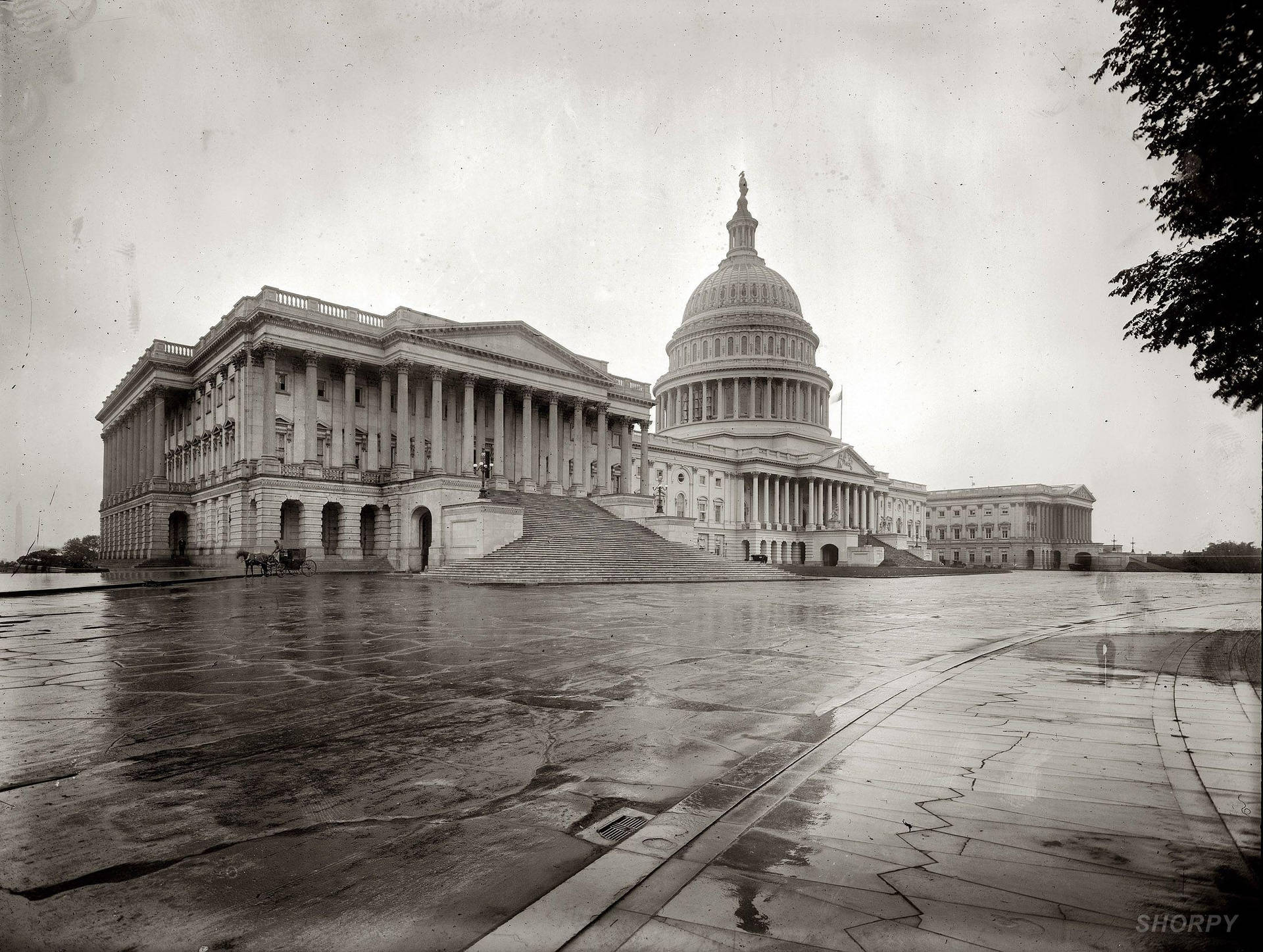 United States Capitol Old Bw Background
