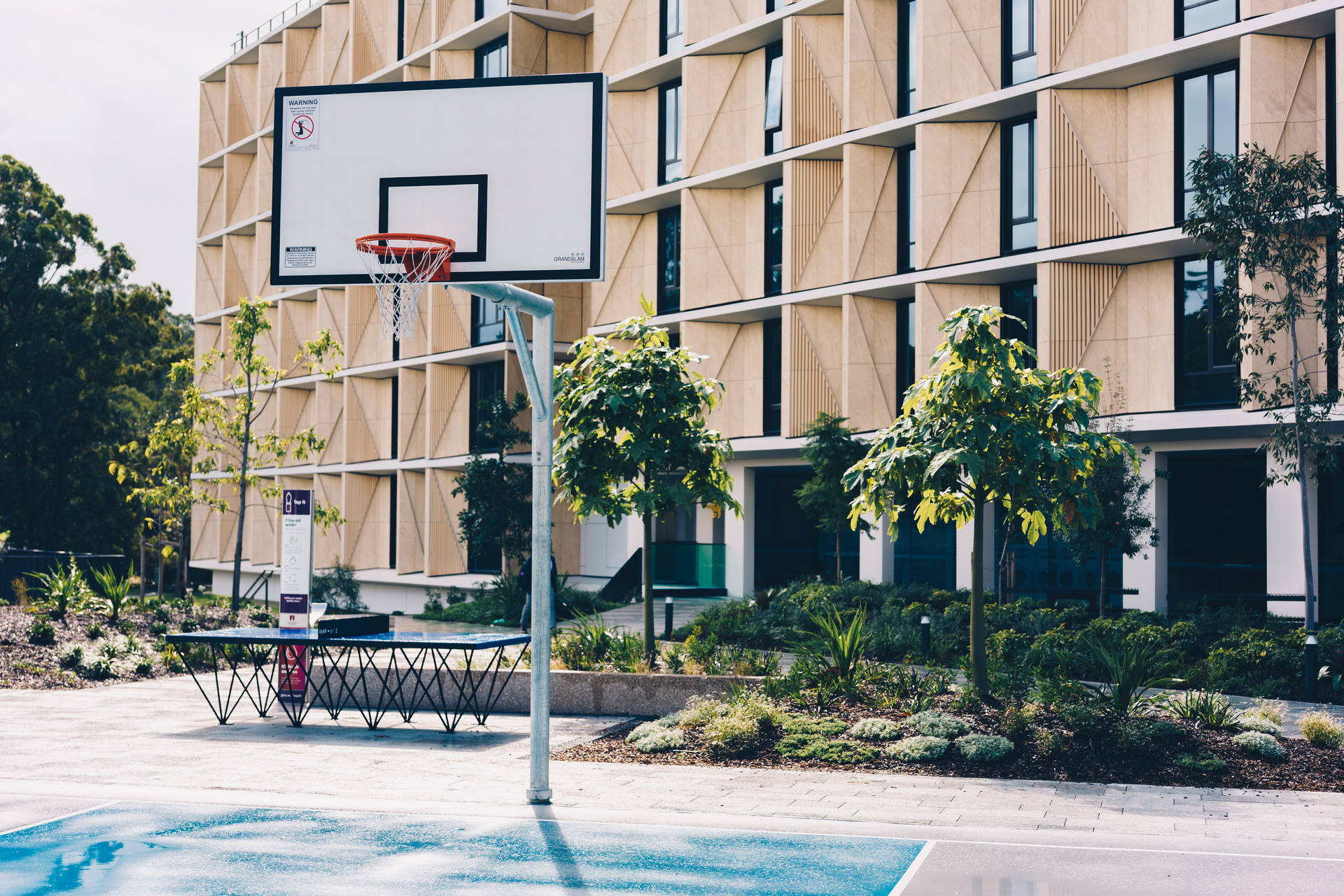 University Basketball Court Wallpaper