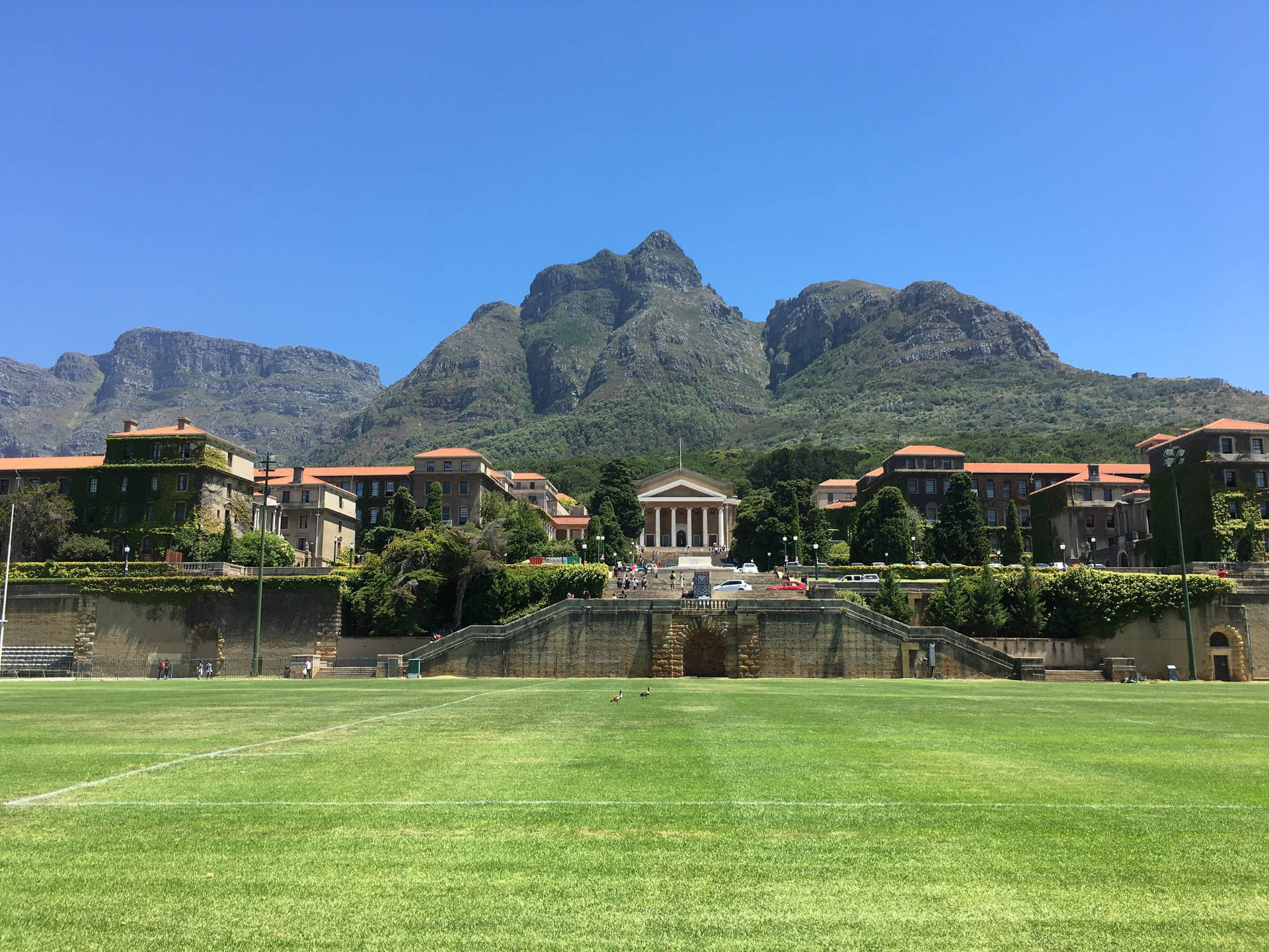 Campus Da Universidade Da Cidade Do Cabo Papel de Parede