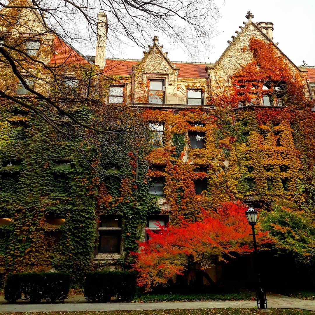 University Of Chicago Autumn House Wallpaper