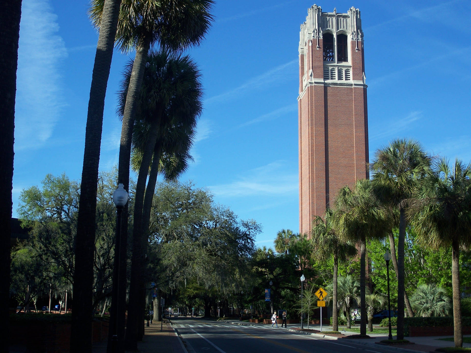 Universitetet af Florida Century Tower Wallpaper