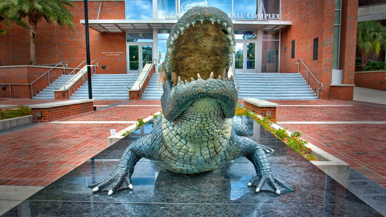 Uafgjort af Florida Gator Statue tapet Wallpaper