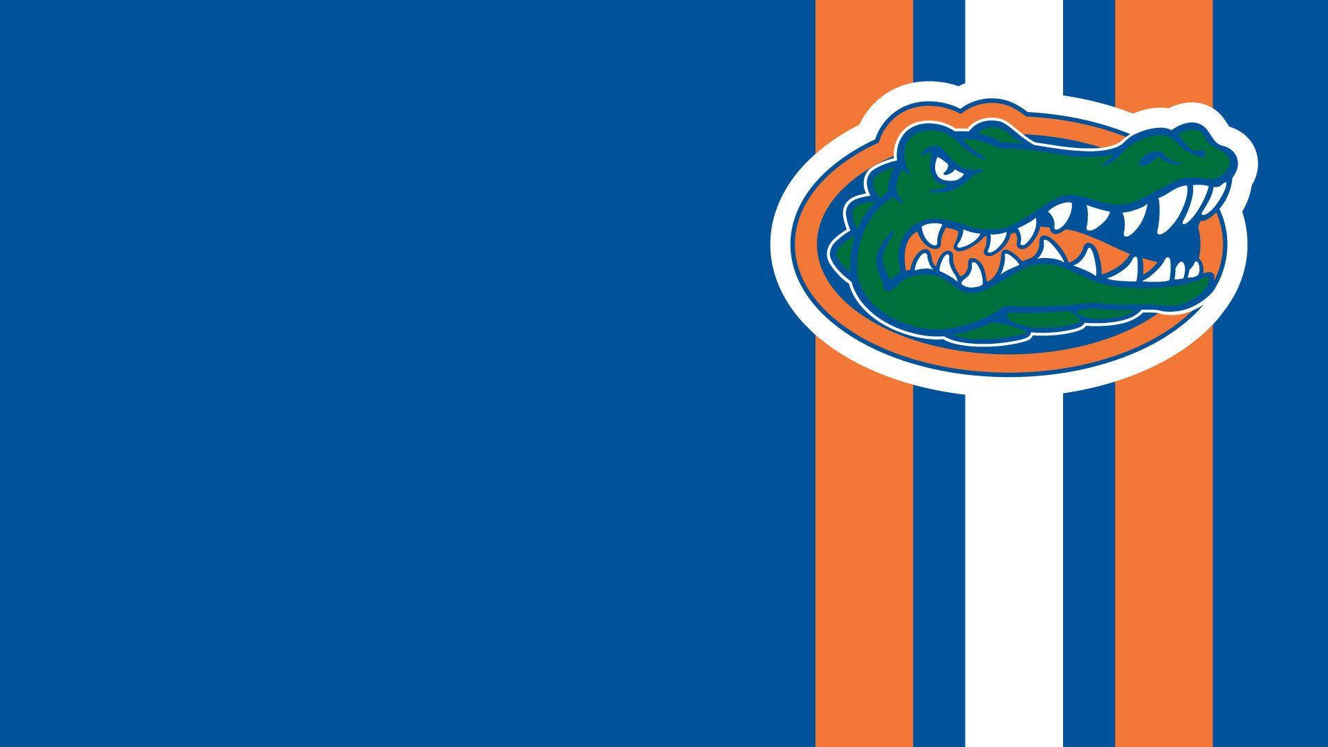 Ästhetikder University Of Florida Gators Wallpaper