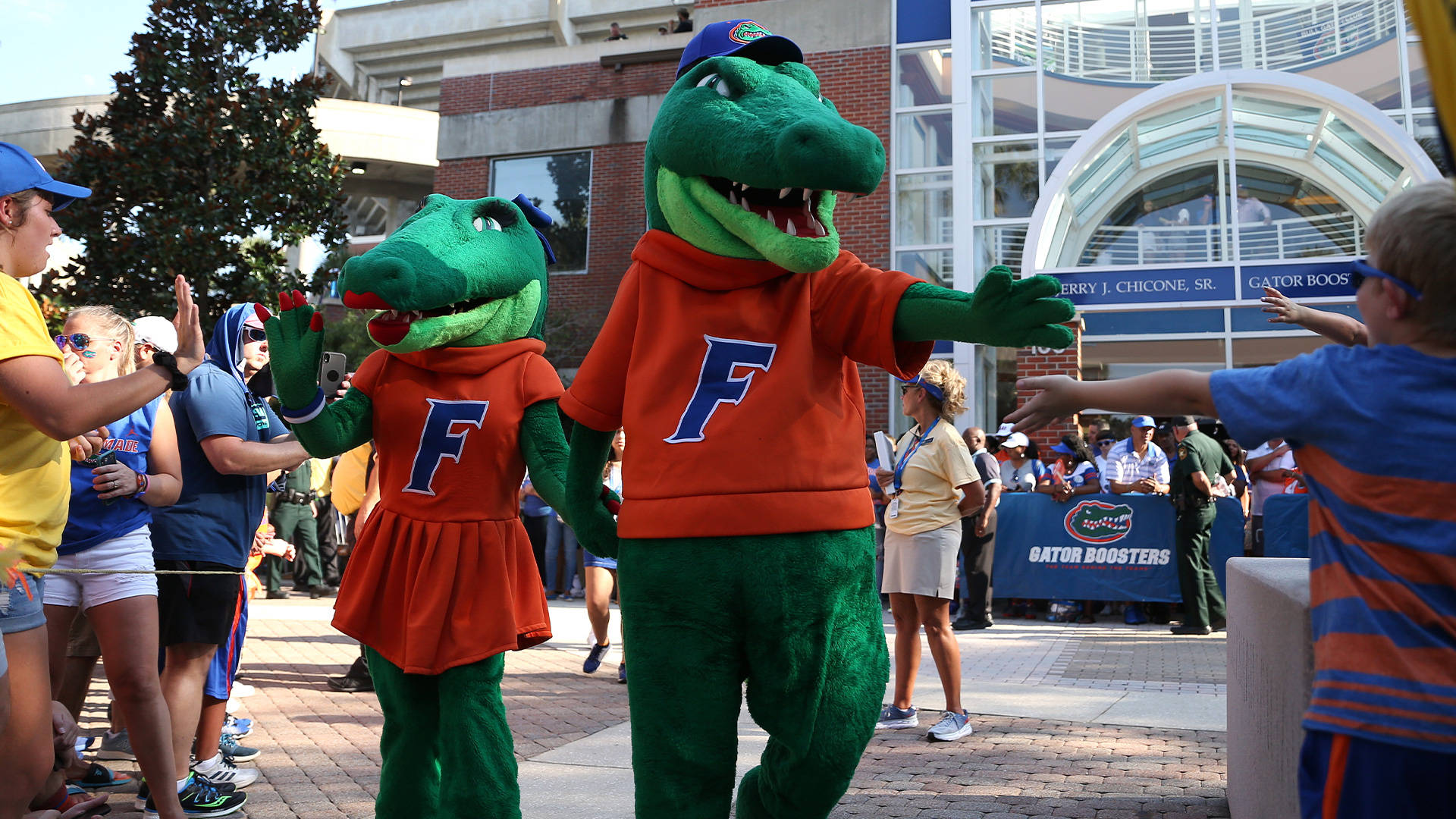 Mascotasde Los Gators De La Universidad De Florida Fondo de pantalla