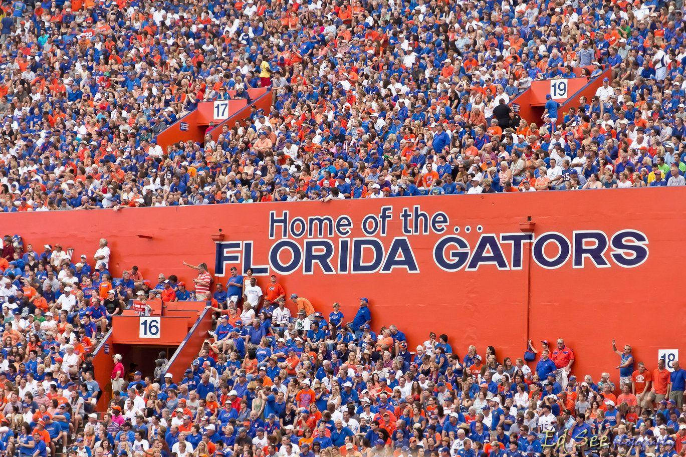 Estadiode Los Florida Gators De La Universidad De Florida. Fondo de pantalla
