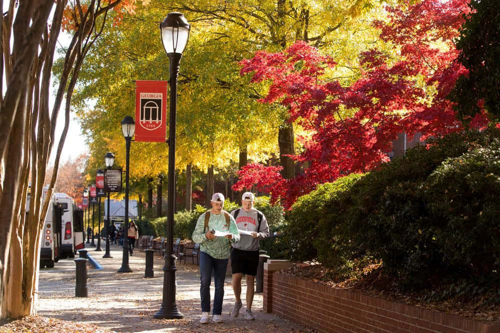 Studerende på University of Georgia går omkring på campus. Wallpaper