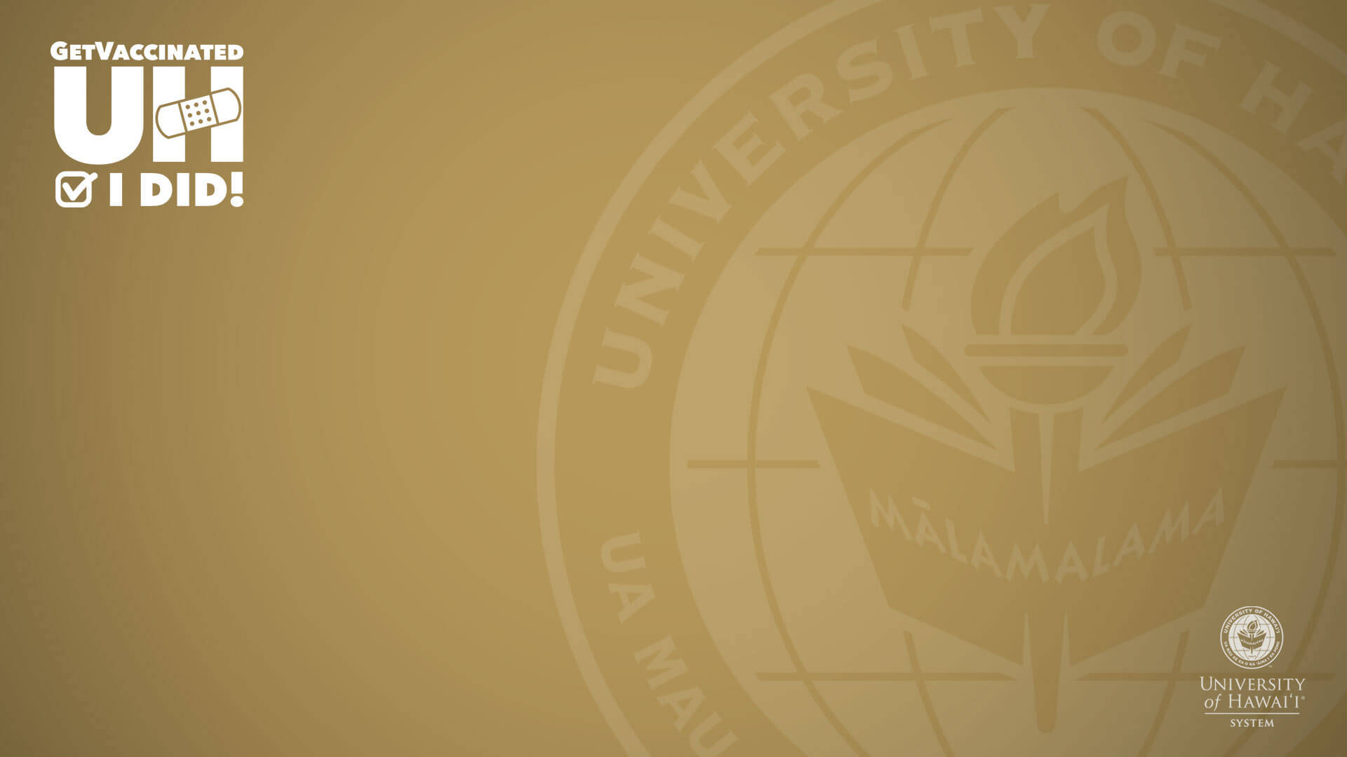 Logotipozoom Marrom Da Universidade Do Havaí. Papel de Parede