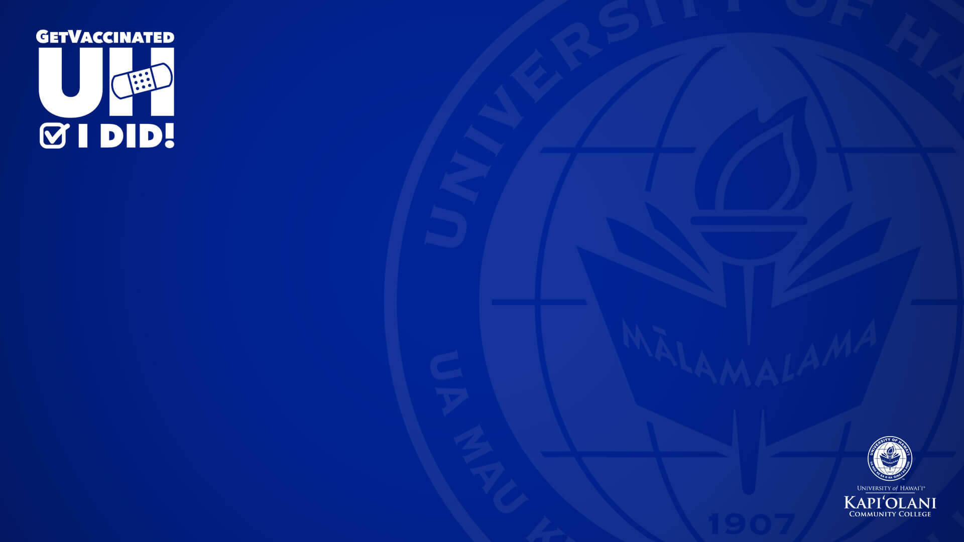 Universitetet af Hawaii mørkeblå Zoom baggrund Wallpaper