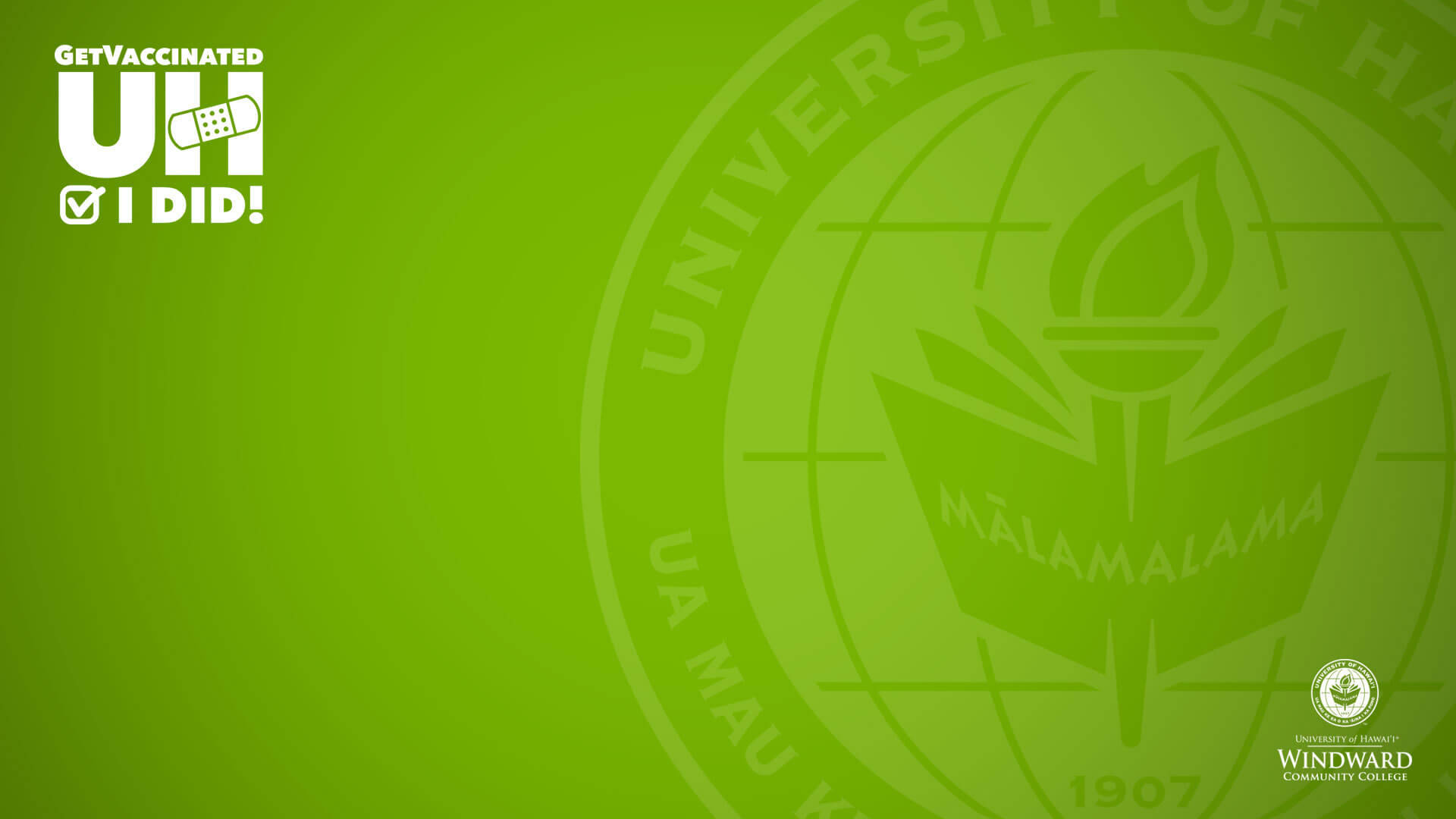 Universitetetpå Hawaii Grönt Zoom-bakgrund. Wallpaper