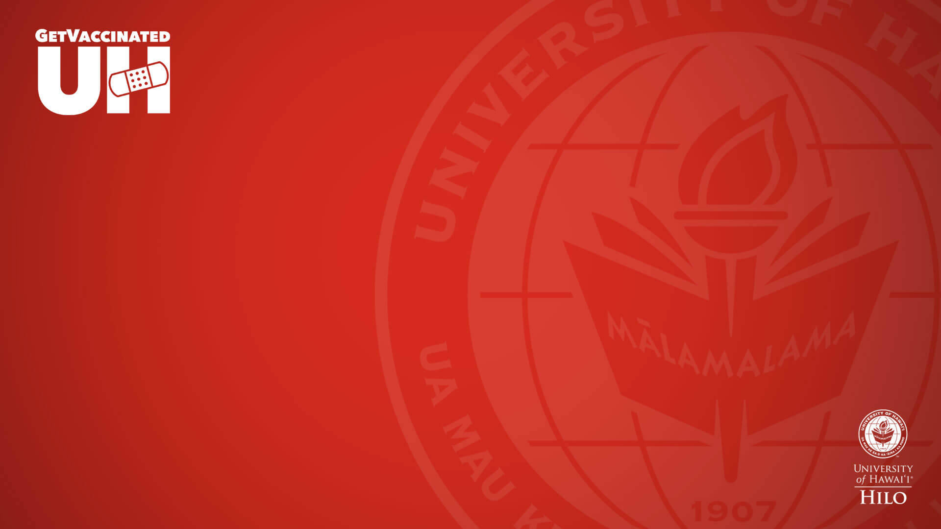 Universidadde Hawái Hilo Rojo Fondo de pantalla