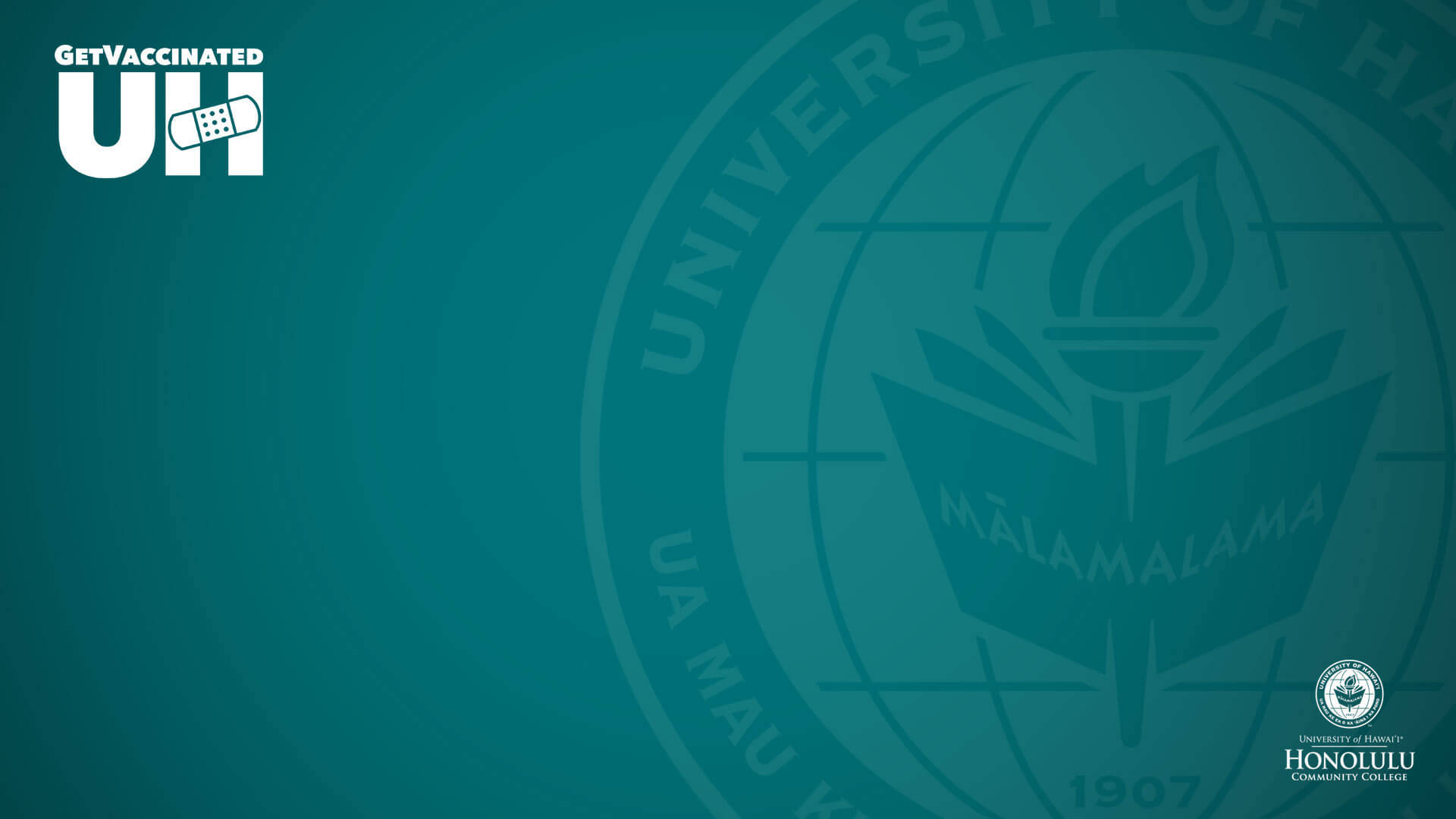Fondode Pantalla De La Universidad De Hawái En Honolulu Verde Para Zoom. Fondo de pantalla