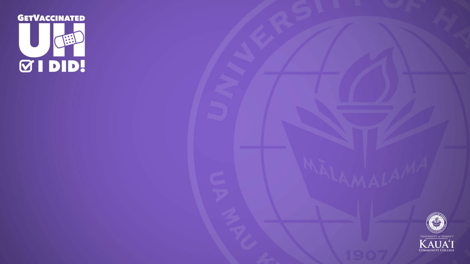 University Of Hawaii Purple Zoom Background Wallpaper