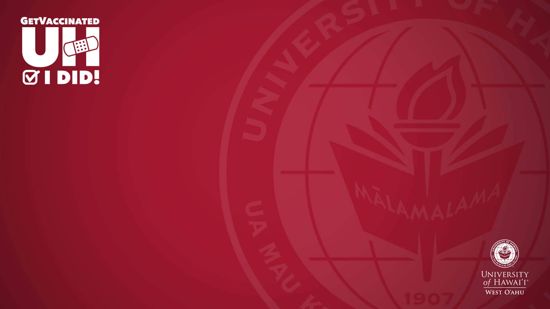 Fondode Pantalla Rojo De La Universidad De Hawaii Para Zoom Fondo de pantalla