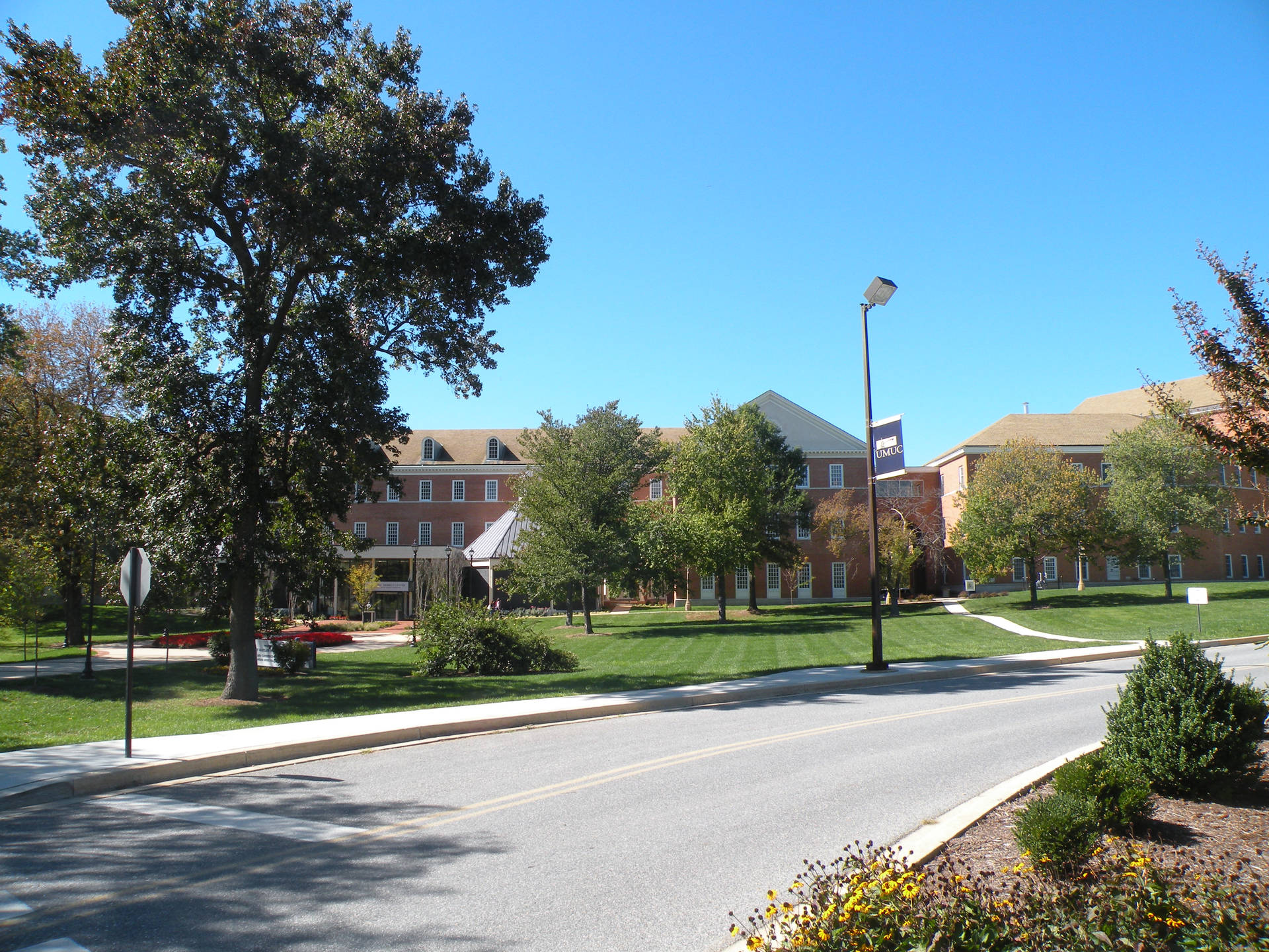 University Of Maryland College Road Wallpaper