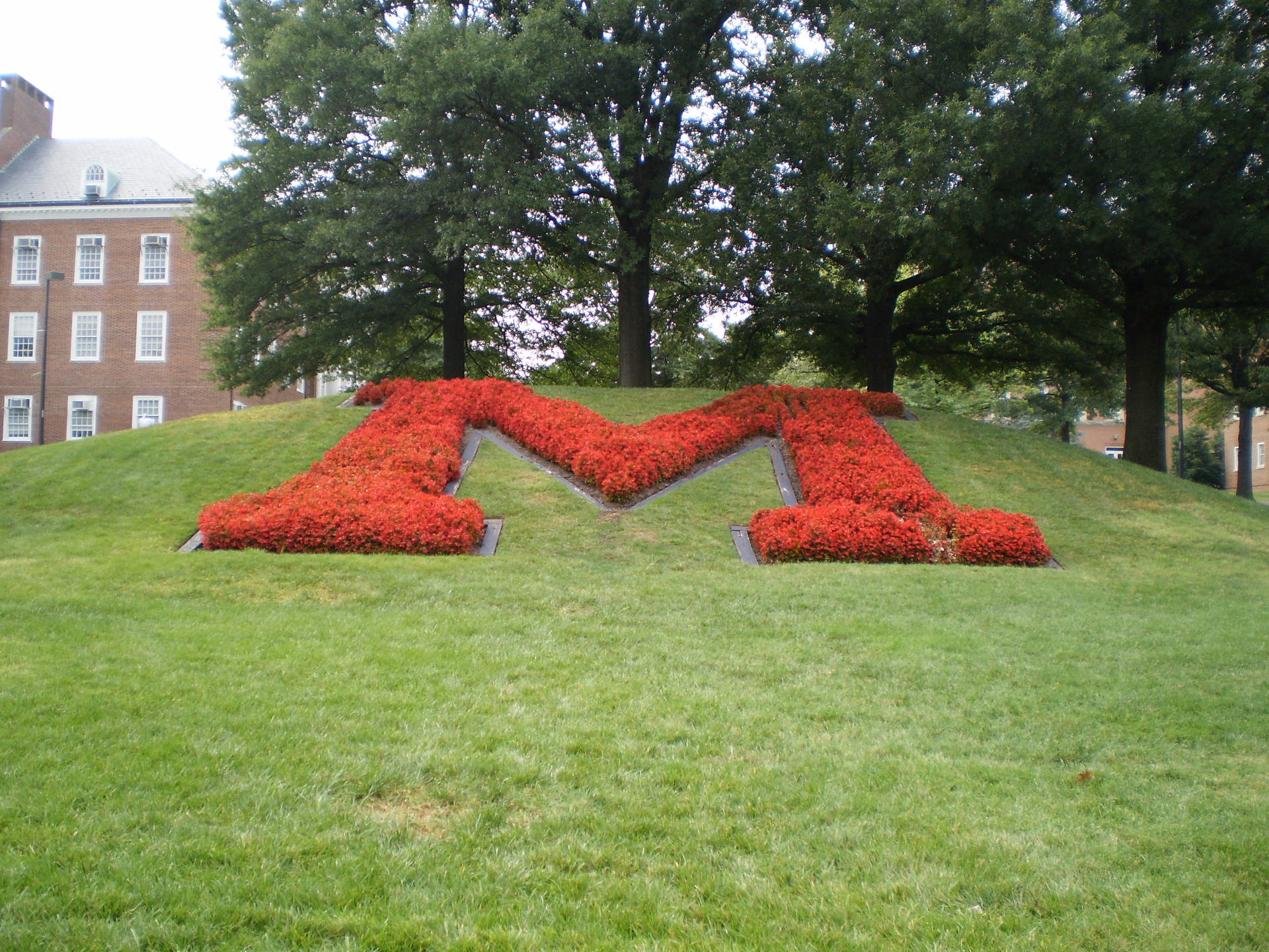University Of Maryland Red Landscaped M Wallpaper