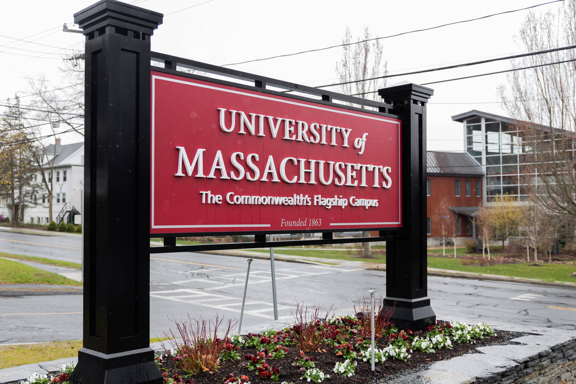 Universitàdi Massachusetts Fiori E Segno Sfondo