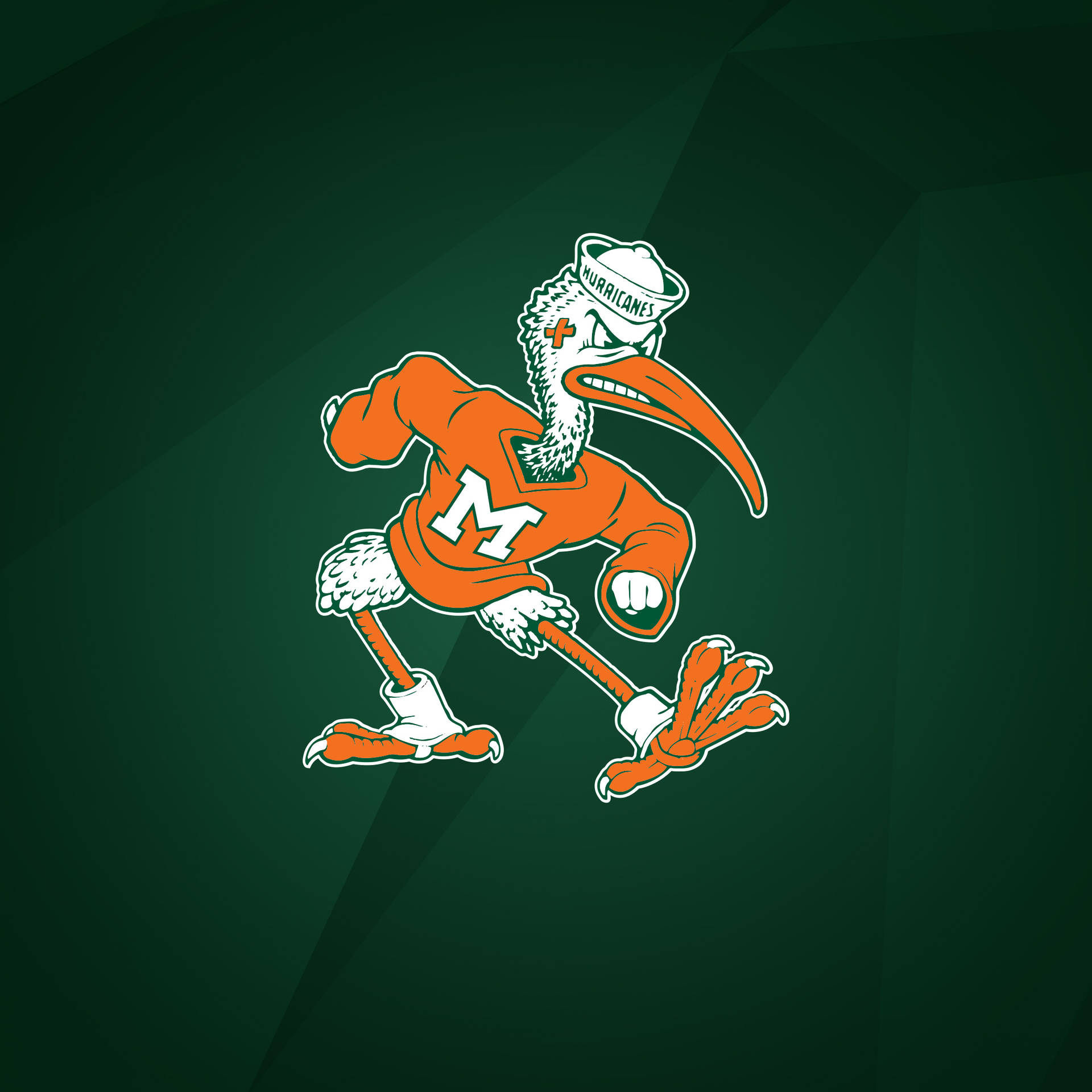 University Of Miami Green Mascot Wallpaper