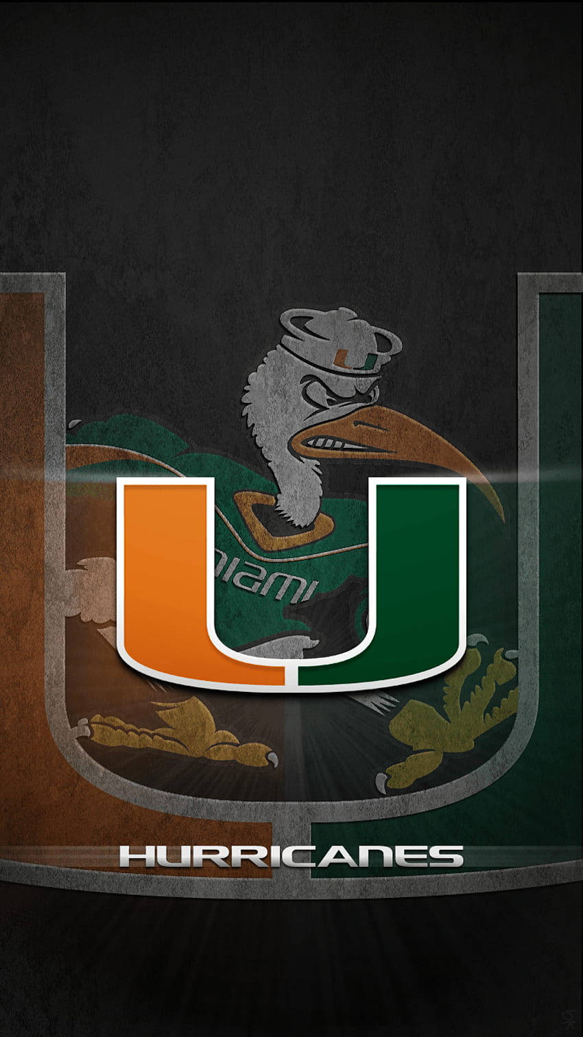 University Of Miami Logo And Sebastian Wallpaper