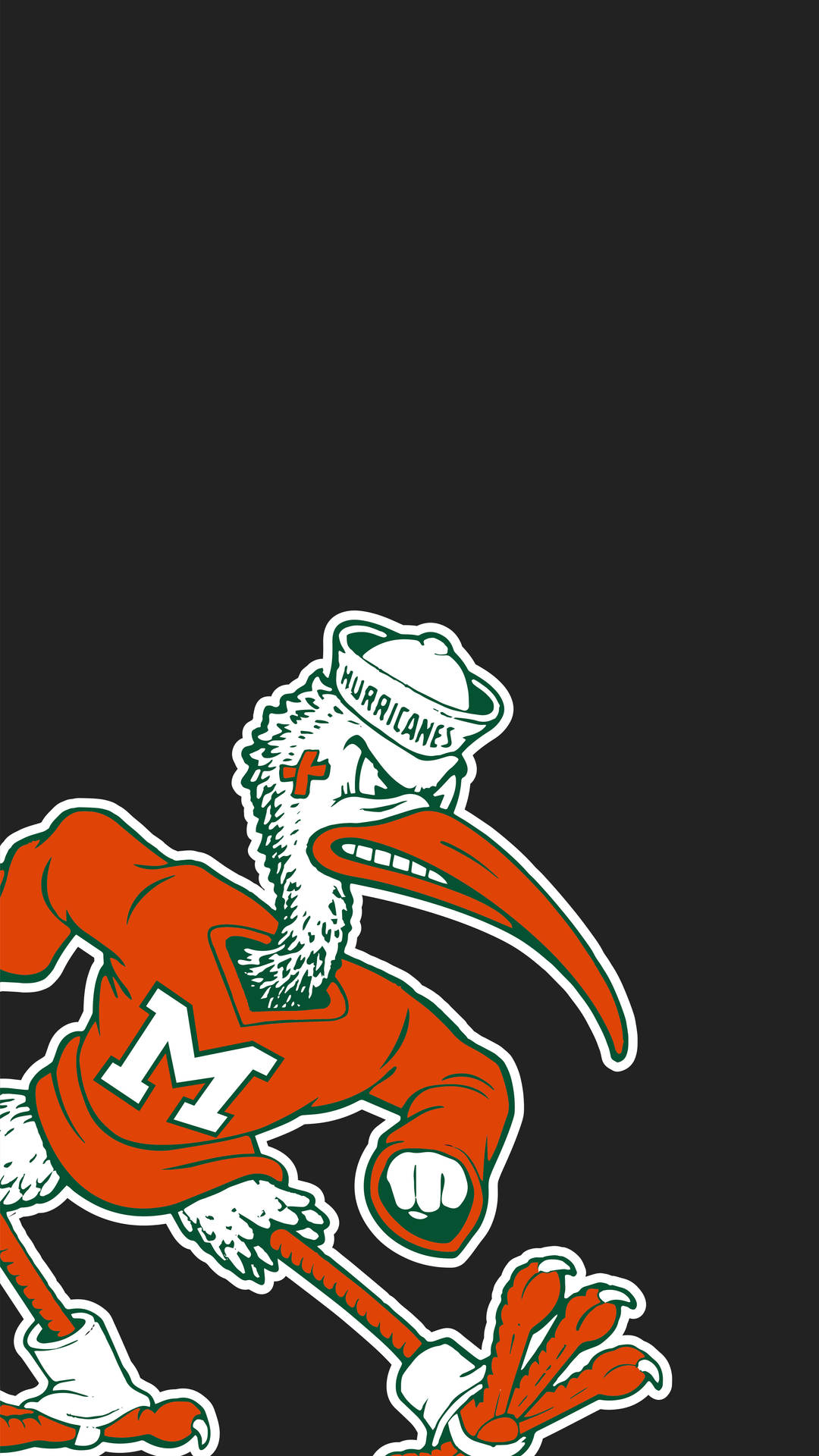 University Of Miami Mascot In Black Wallpaper