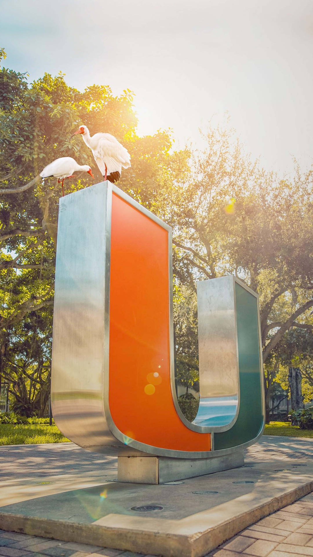 University Of Miami Metal Logo Statue Wallpaper