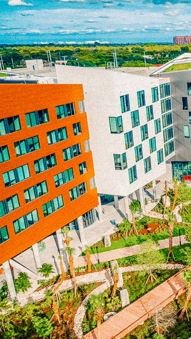 University Of Miami Modern Buildings Wallpaper