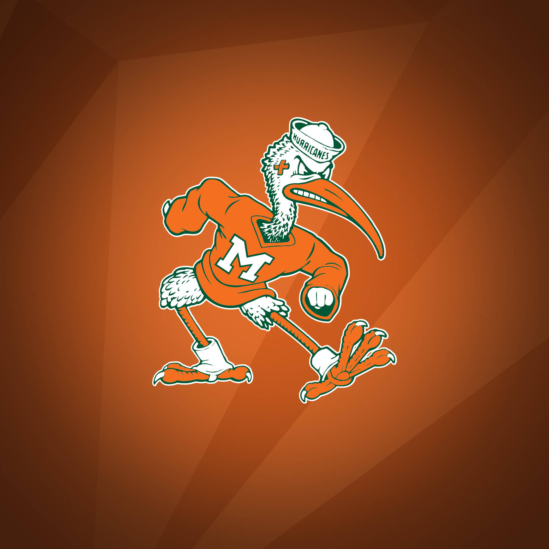 University Of Miami Orange Mascot Wallpaper