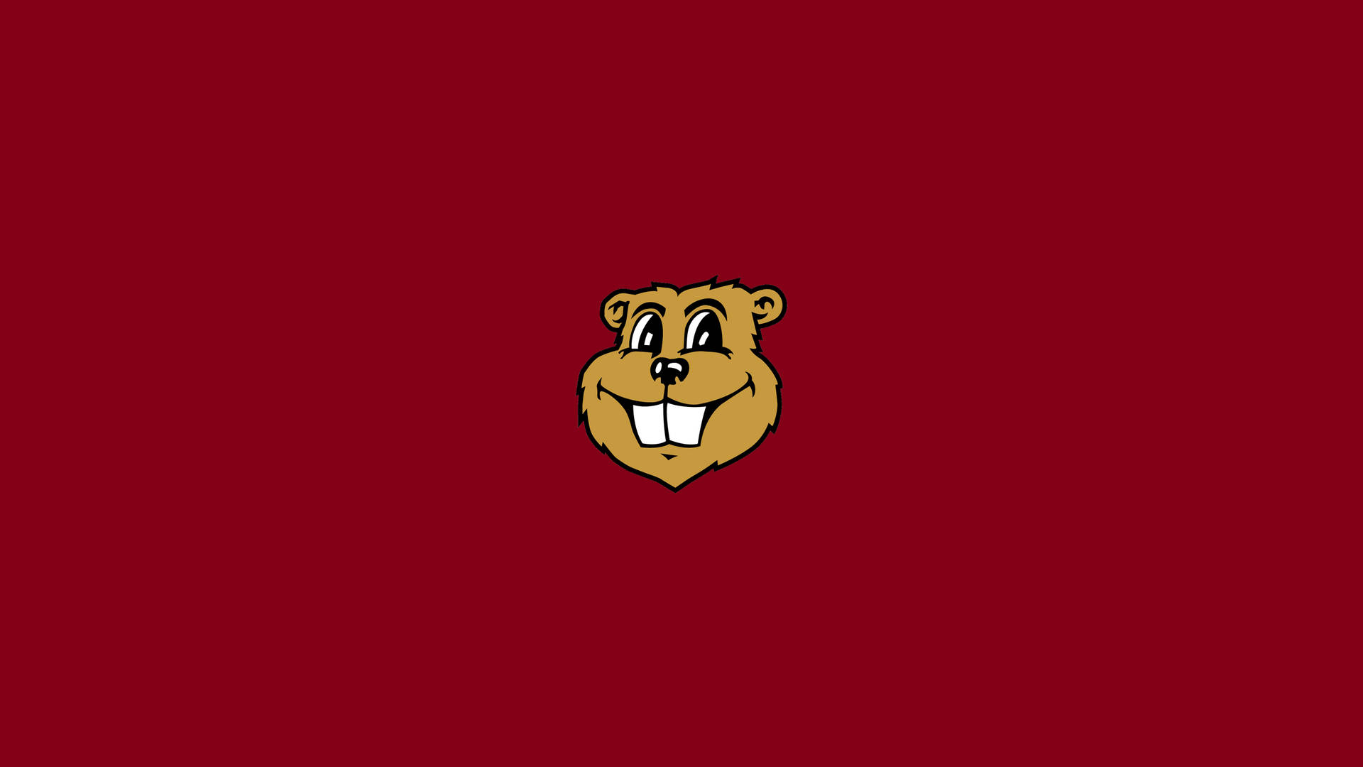 University Of Minnesota Squirrel In Red Wallpaper