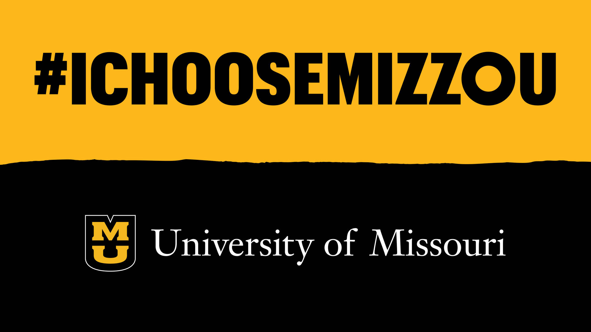 University Of Missouri Black And Yellow I Choose Mizzou Wallpaper