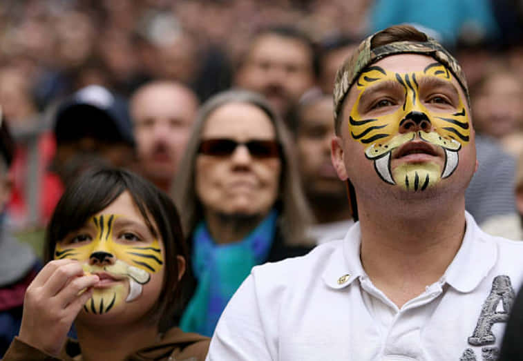 Fansde Los Tigres De La Universidad De Missouri Con Pintura Facial. Fondo de pantalla