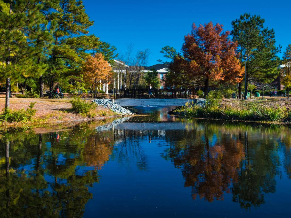 University Of North Carolina Wilmington Beautiful Scenery Wallpaper