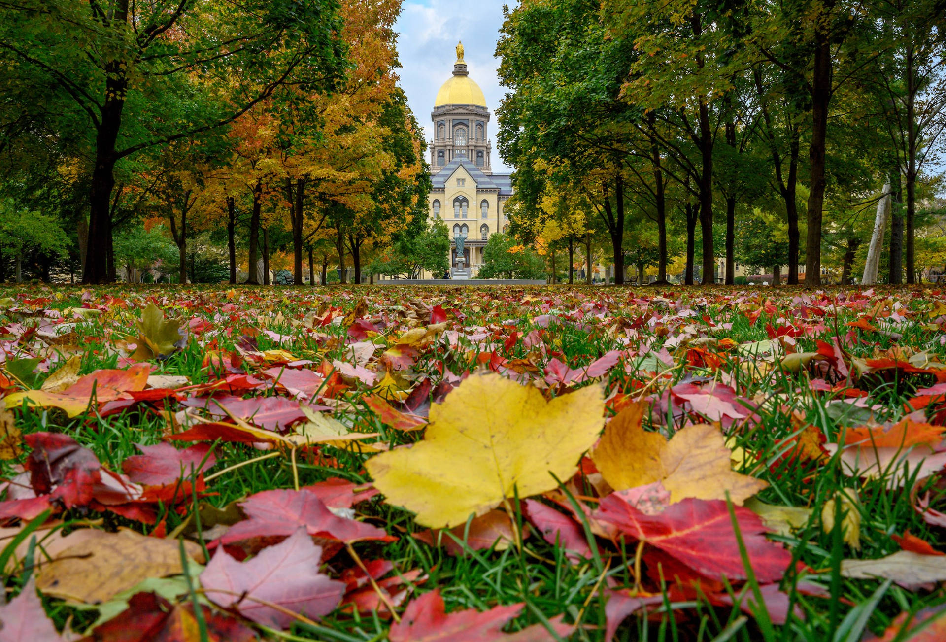 University Of Notre Dame With Dried Leaves Wallpaper