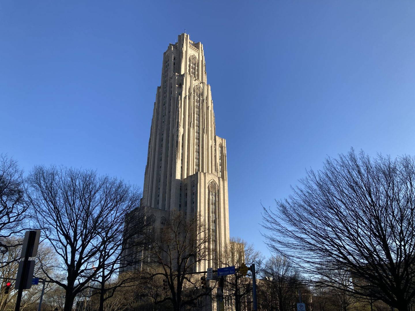 University Of Pittsburgh And Bare Trees Picture