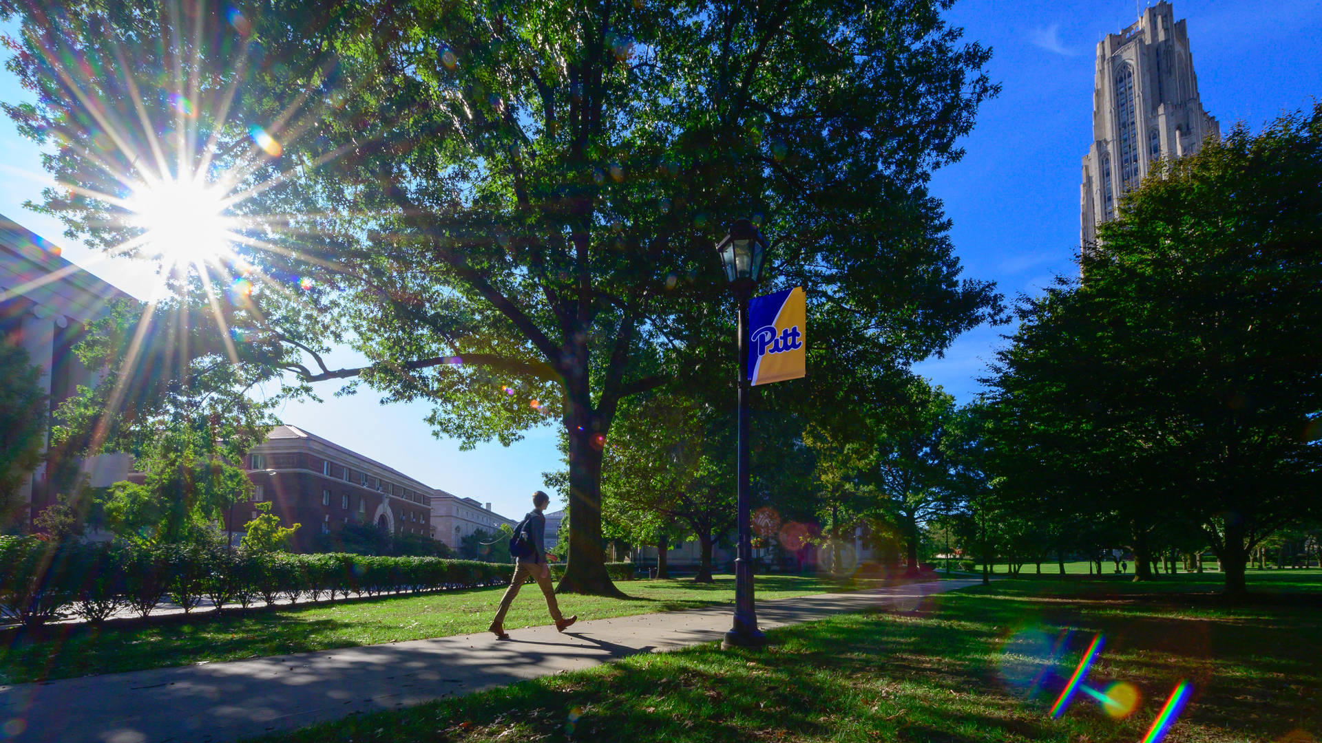 University Of Pittsburgh Campus Walkway Background