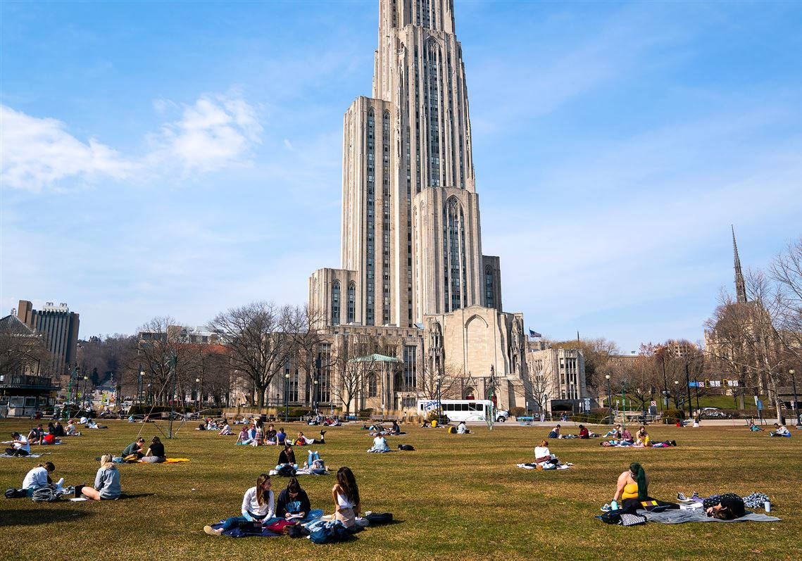 University Of Pittsburgh Open Field Picture