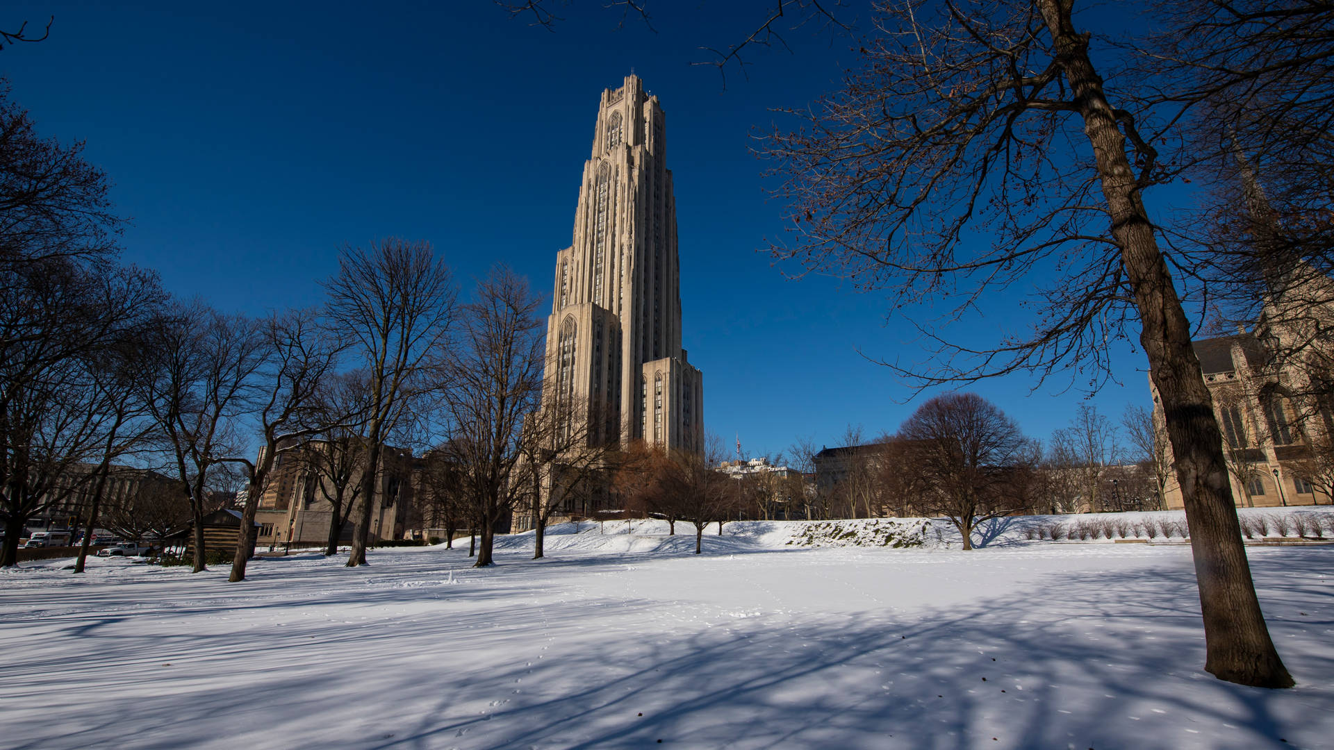University Of Pittsburgh Snow-Covered Ground Wallpaper