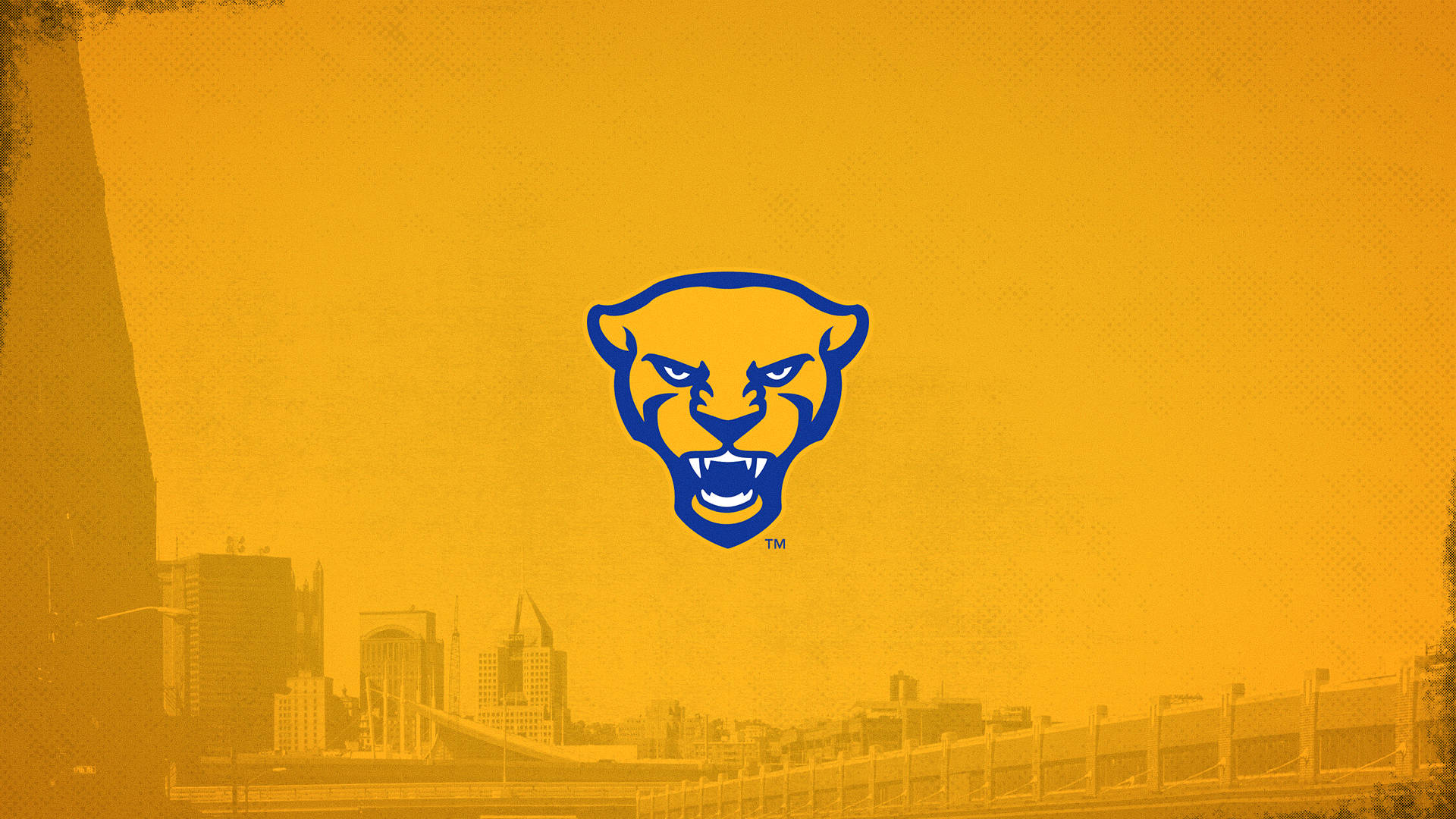 University Of Pittsburgh Yellow Panther Desktop Wallpaper