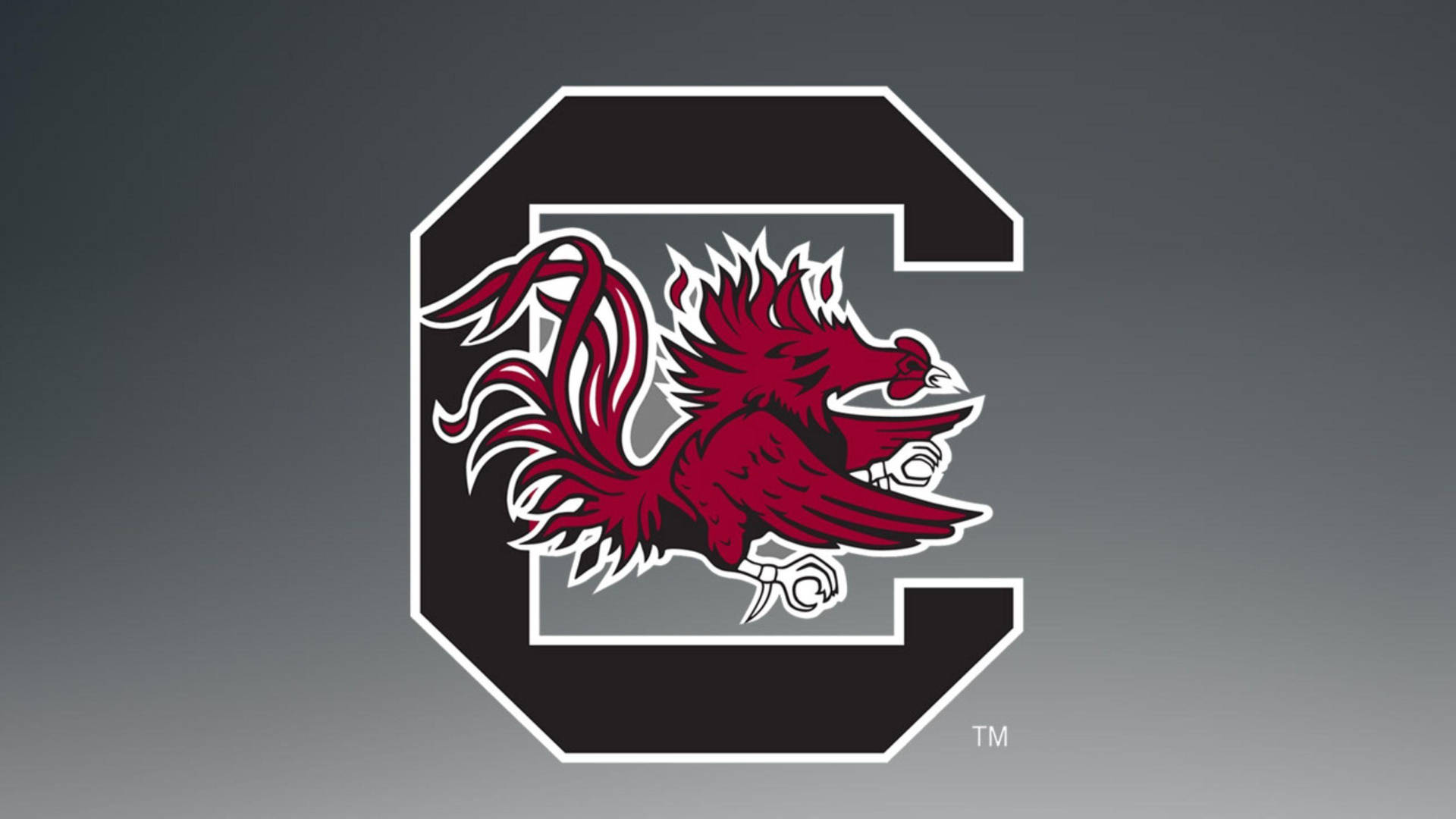 Logotipode La Universidad De Carolina Del Sur. Fondo de pantalla