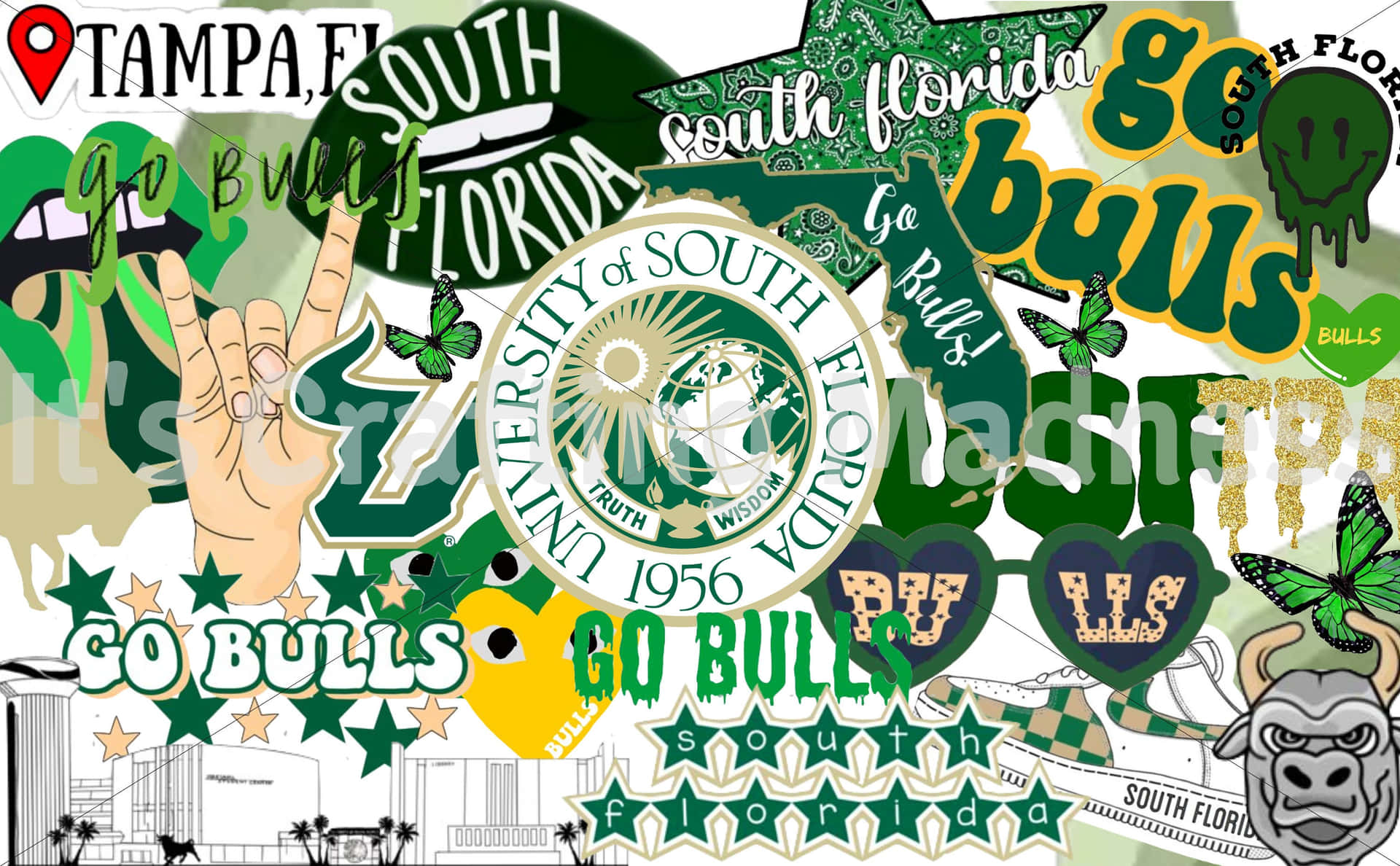 University Of South Florida Aesthetic Collage Wallpaper