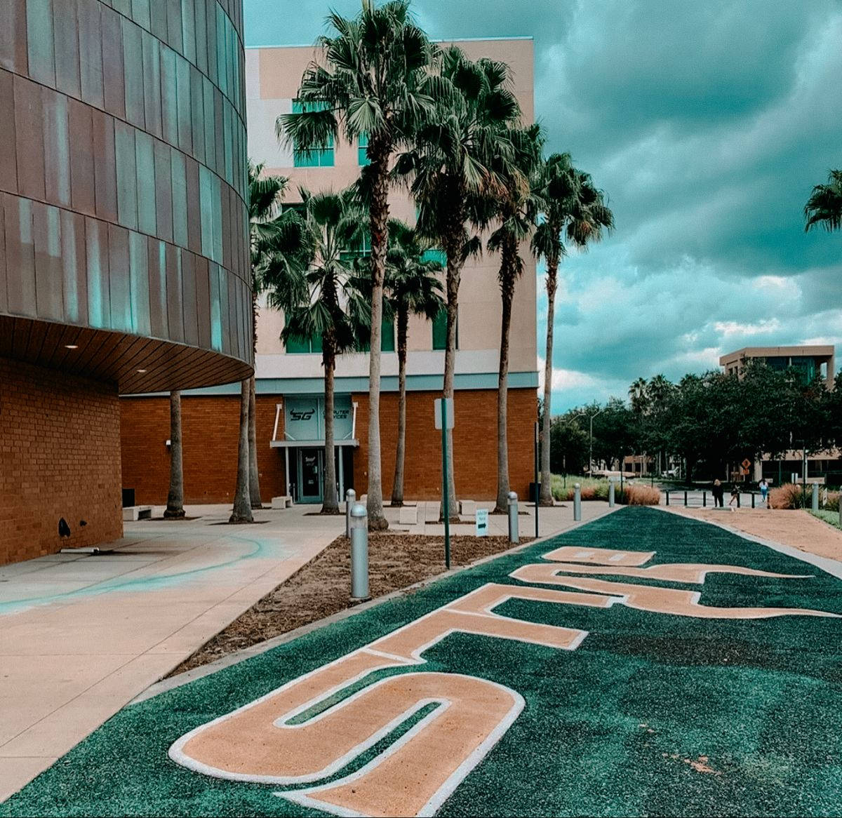 University Of South Florida Smuk Campus Sceneri Tapet Wallpaper