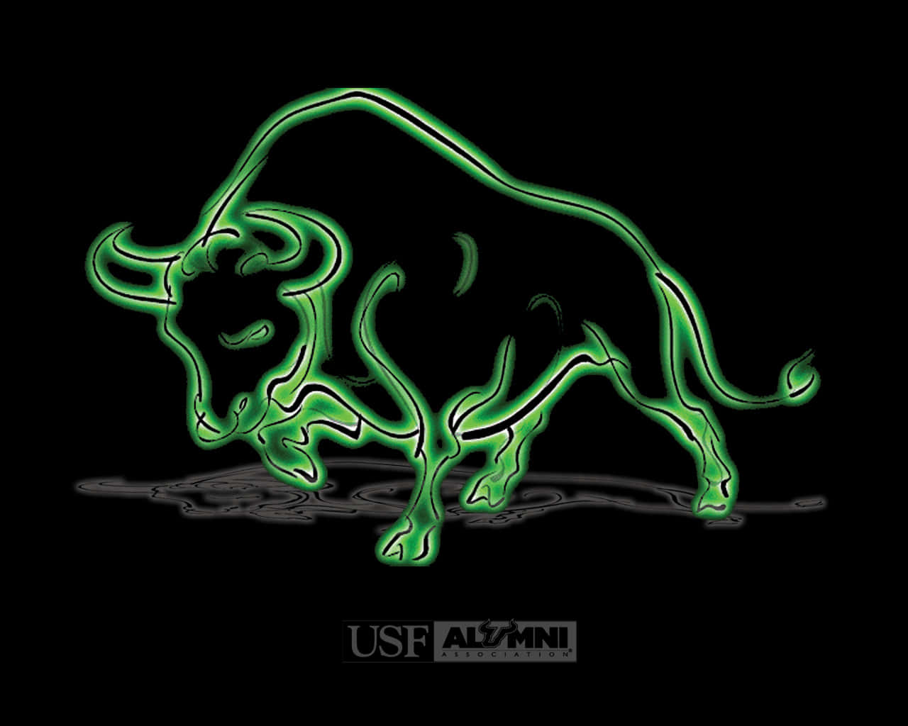 USF Bulls Redigeret Logo Tapet Wallpaper