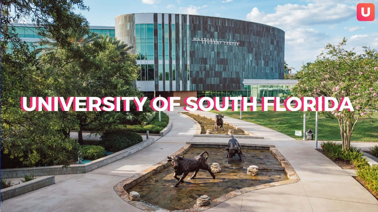 University Of South Florida Campus Baggrundsbillede Wallpaper