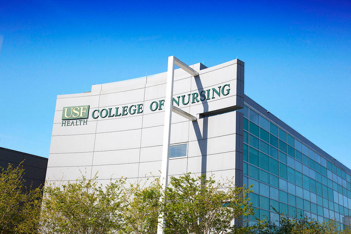 University Of South Florida College Of Nursing Wallpaper