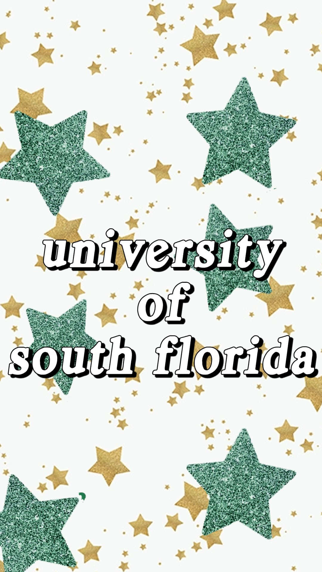 Campusdell'università Del Sud Della Florida Illuminato Sotto Le Stelle Sfondo