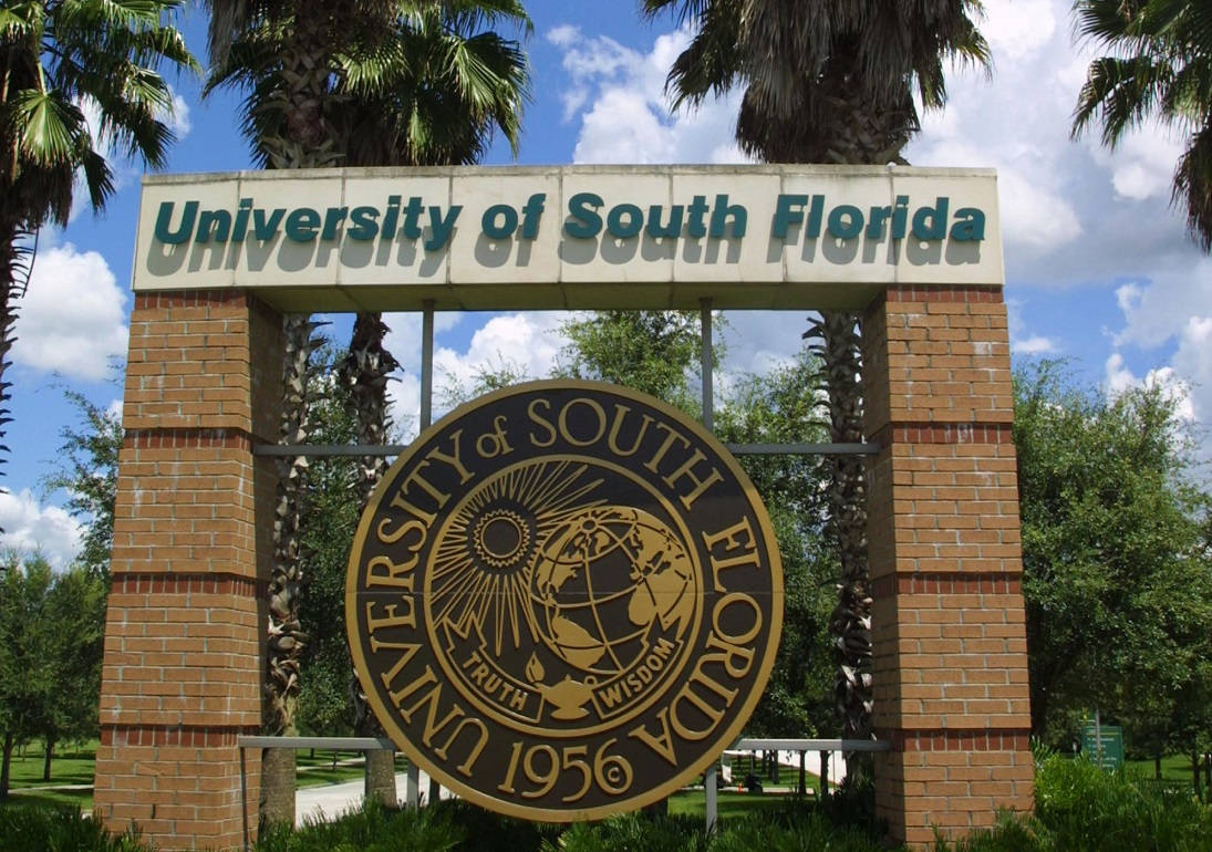 Tekst på University of South Florida adgangs skilt Wallpaper