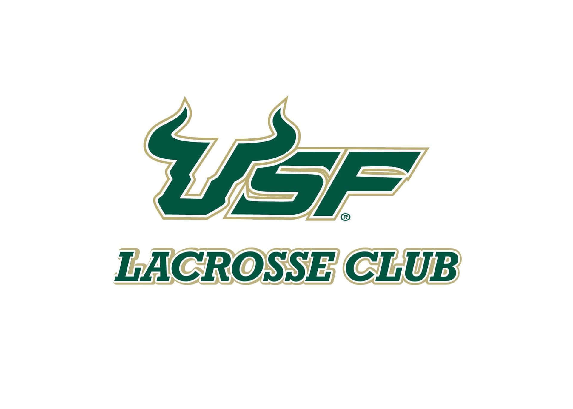 Logodel Club Di Lacrosse Dell'università Del Sud Della Florida Sfondo